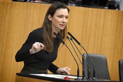 FPÖ-Außenpolitiksprecherin Susanne Fürst im Parlament.