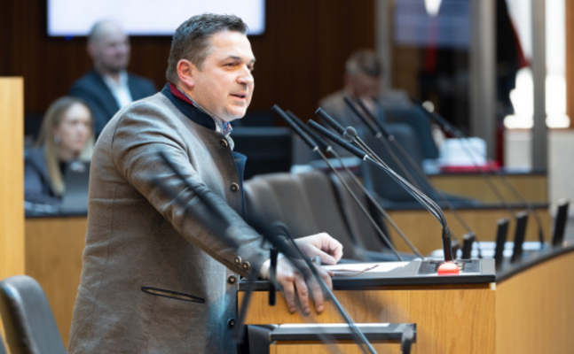 FPÖ-Abgeordneter Christian Ries im Nationalrat.